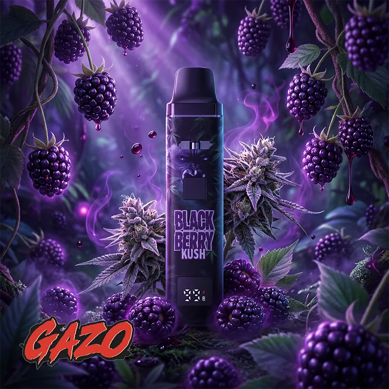 Jumanji GAZO PRO Black Berry Kush Vape – Verpackung