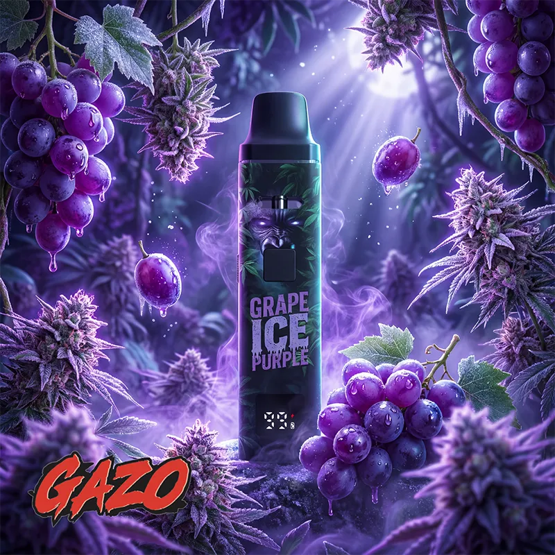 Jumanji GAZO PRO Grape Ice Purple Vape 10er-Pack