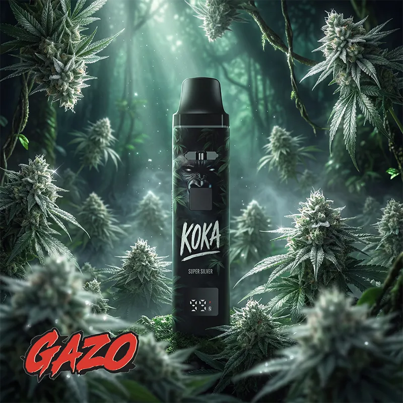 Jumanji GAZO PRO Koka Vape – Verpackung