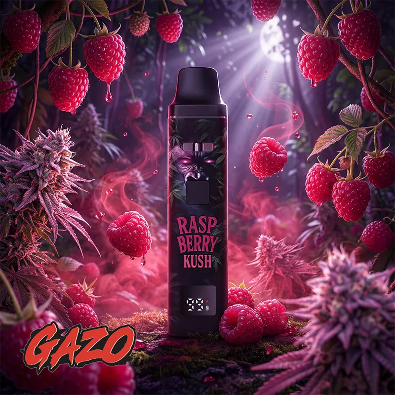 Jumanji GAZO PRO Rasp Berry Kush Vape – Verpackung